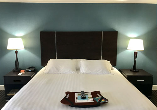 Deluxe King or Two Queen Room